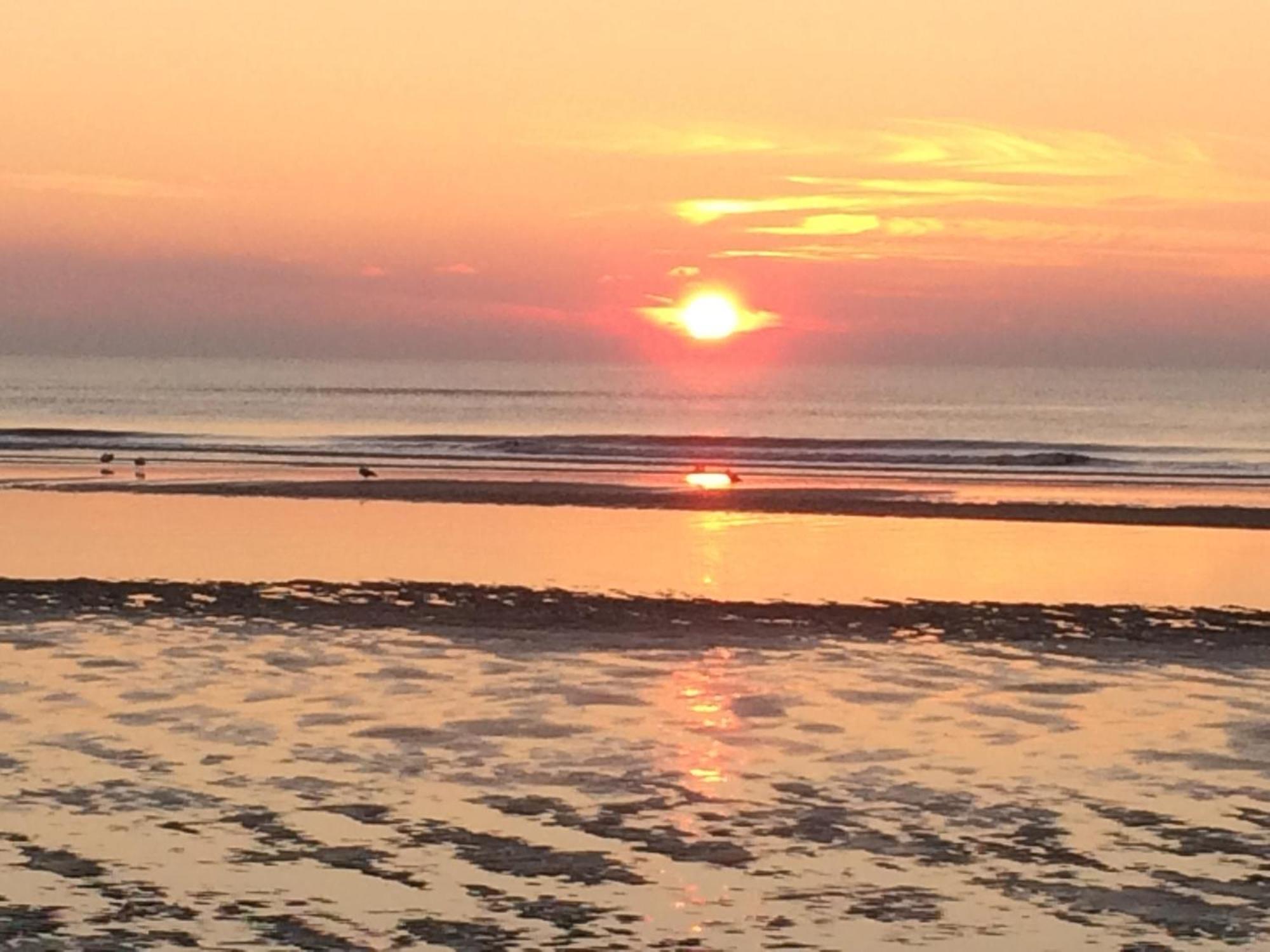 Hotel Noordzee Zandvoort Eksteriør bilde